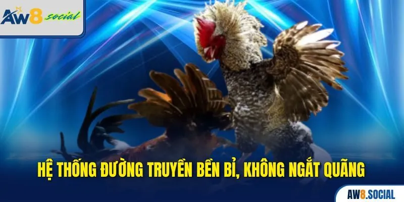 Hệ thống đường truyền bền bỉ, không ngắt quãng