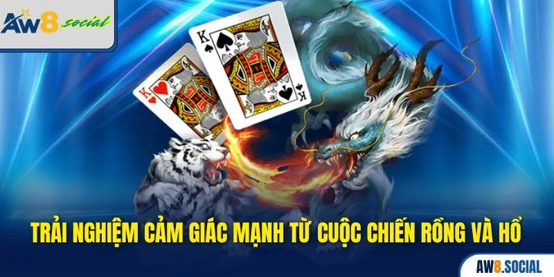 Casino aw8 3 Trải nghiệm cảm giác mạnh từ cuộc chiến Rồng và Hổ